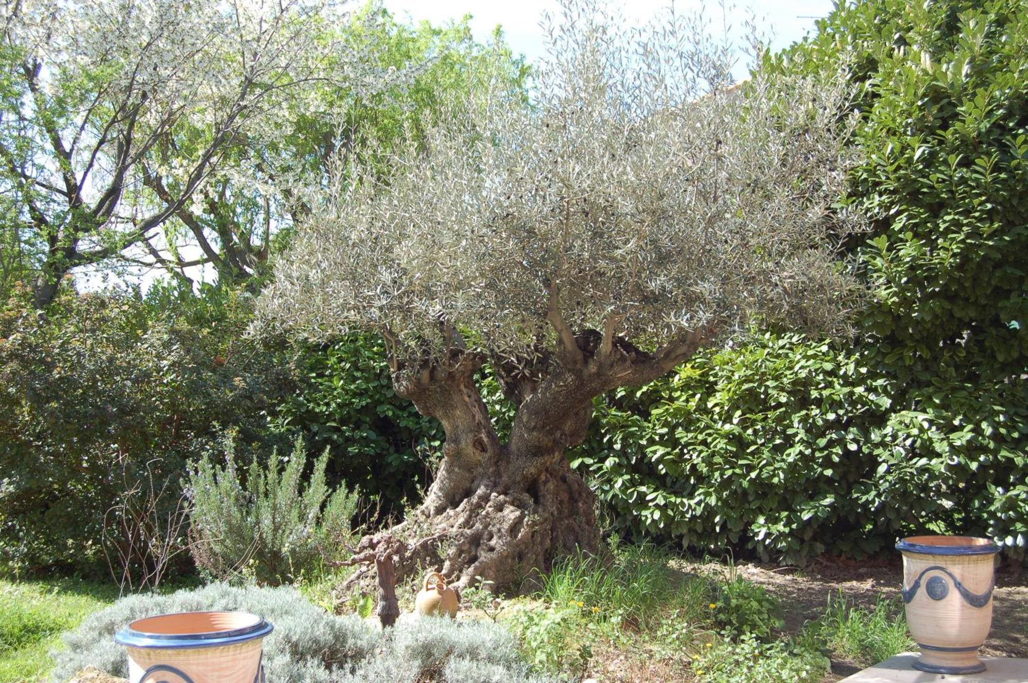 גרבסון Le Mas Ferrand מראה חיצוני תמונה
